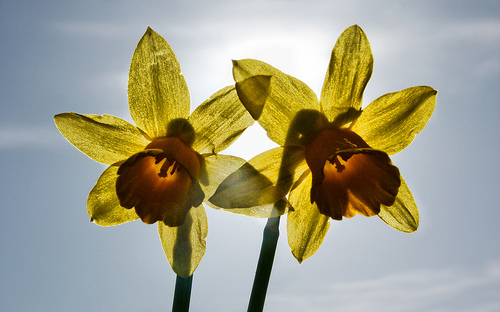 Managing emotional storms in your child part 3