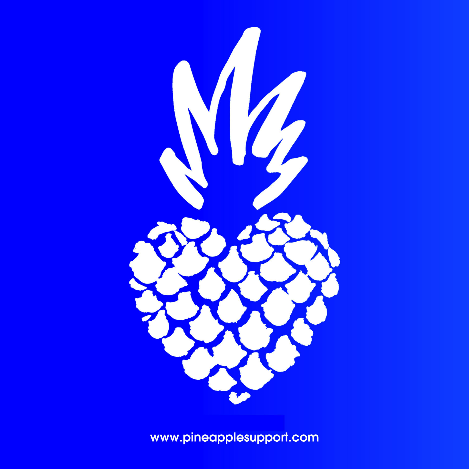 Pineapple Support Charity: an Introduction