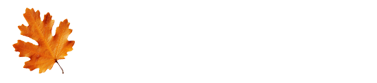 Brighton Therapy Service