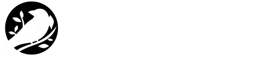Brighton Therapy Service